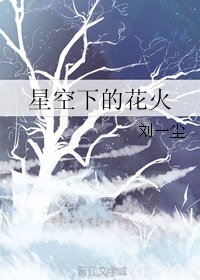  星空下的花火